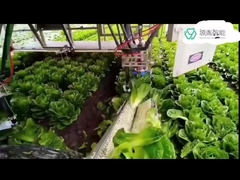 Wytrzymałe systemy ramion robotów Kuka do robotów KR DELTA w transporcie opakowań 7 Dof Arm